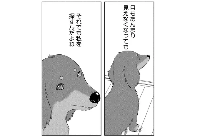 余命1カ月の愛犬。見えなくても聞こえなくても、私を探していて...／アルへ（2）