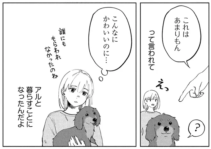 余命1カ月の愛犬。見えなくても聞こえなくても、私を探していて...／アルへ（5）