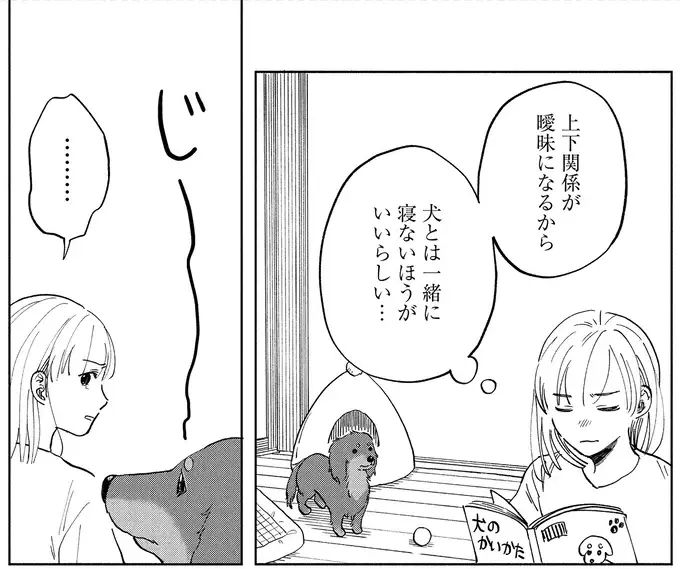余命1カ月の愛犬。見えなくても聞こえなくても、私を探していて...／アルへ（7）