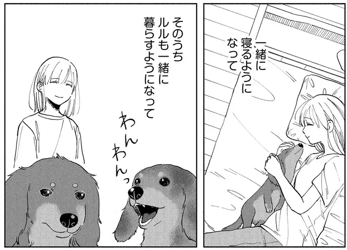 余命1カ月の愛犬。見えなくても聞こえなくても、私を探していて...／アルへ（8）
