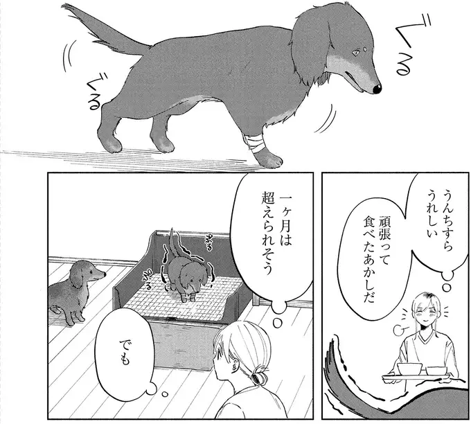 一秒でも苦しい思いは...愛犬の看病をしながら浮かぶさまざまな思い／アルへ（4）