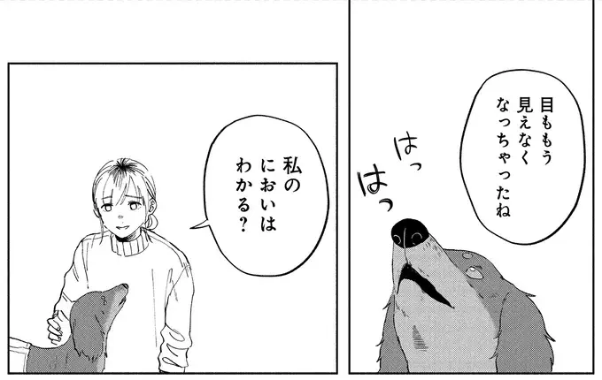 最後の瞬間まで飼い主思いだった愛犬。飼い主が伝えたかったことは...／アルへ（2）