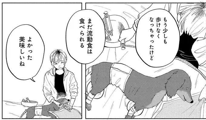 最後の瞬間まで飼い主思いだった愛犬。飼い主が伝えたかったことは...／アルへ（4）