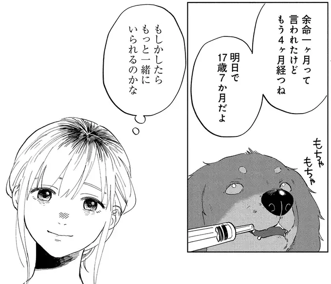 最後の瞬間まで飼い主思いだった愛犬。飼い主が伝えたかったことは...／アルへ（5）