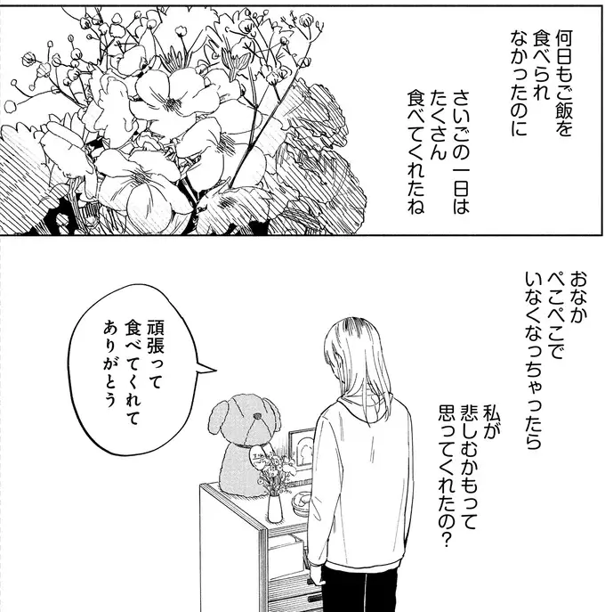 最後の瞬間まで飼い主思いだった愛犬。飼い主が伝えたかったことは...／アルへ（9）