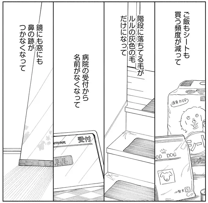 最後の瞬間まで飼い主思いだった愛犬。飼い主が伝えたかったことは...／アルへ（13）