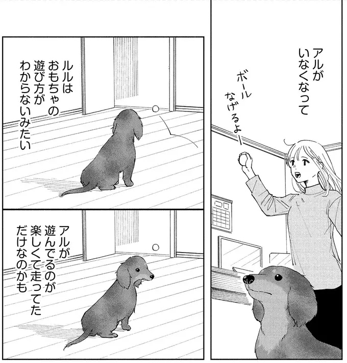 いつかまた私の部屋のいつもの場所で。小首をかしげる愛犬に会いたい／アルへ（2）