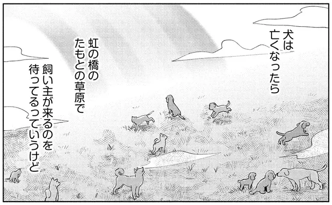 いつかまた私の部屋のいつもの場所で。小首をかしげる愛犬に会いたい／アルへ（6）