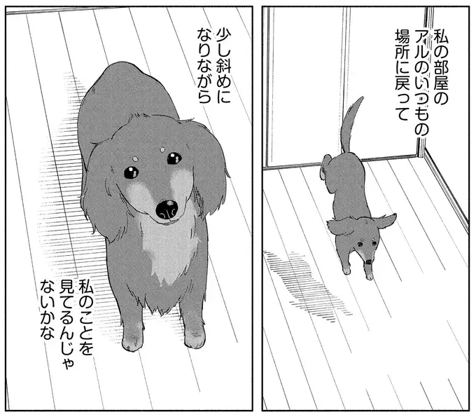 いつかまた私の部屋のいつもの場所で。小首をかしげる愛犬に会いたい／アルへ（8）