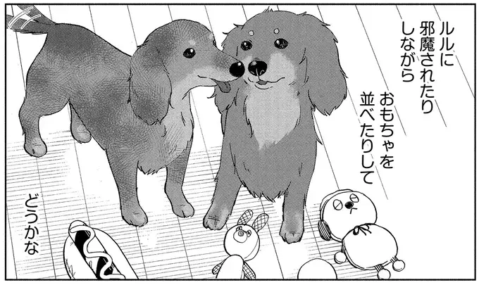 いつかまた私の部屋のいつもの場所で。小首をかしげる愛犬に会いたい／アルへ（9）