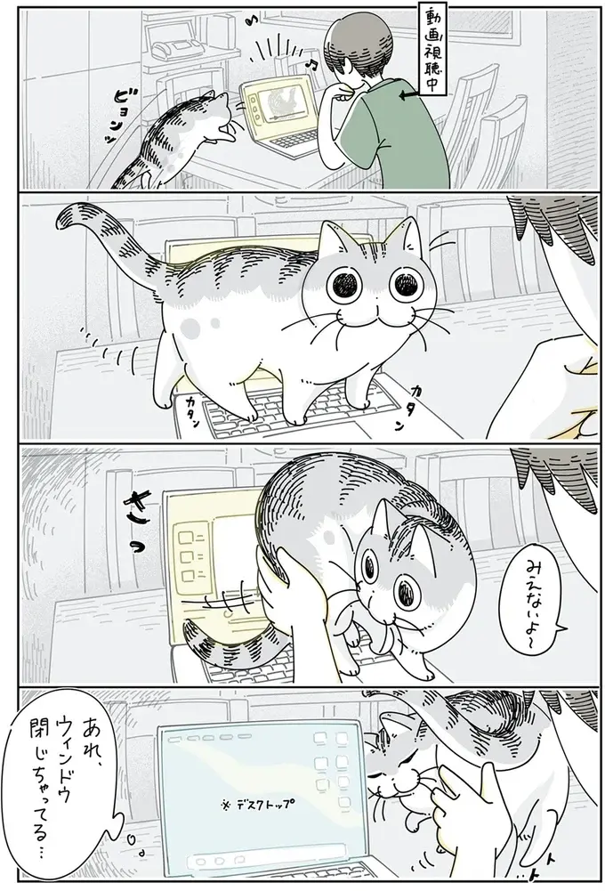ショートカットキー押した？ 愛猫はキーボードの上を歩きながらPC操作／夜は猫といっしょ5（3）