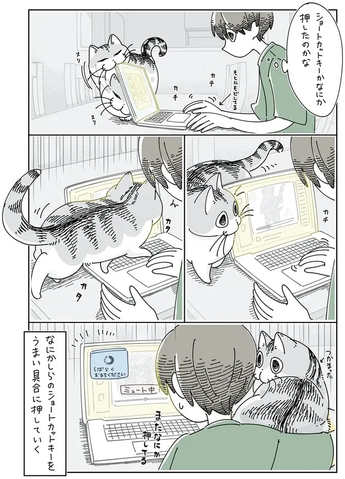 ショートカットキー押した？ 愛猫はキーボードの上を歩きながらPC操作／夜は猫といっしょ5（4）
