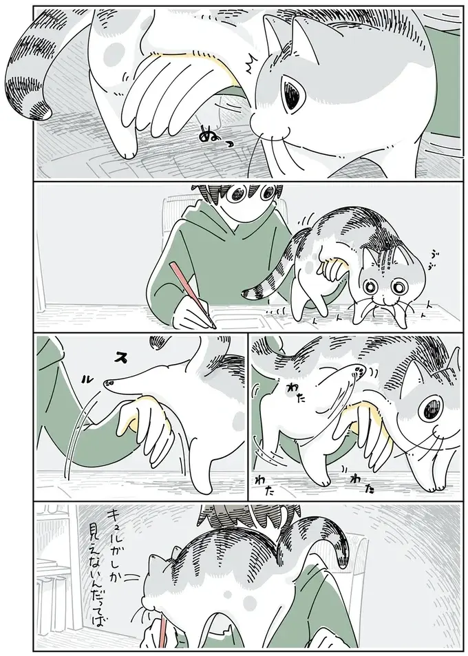 邪魔してくる猫を手でガード。なのにいつの間にか...え？／夜は猫といっしょ6（4）