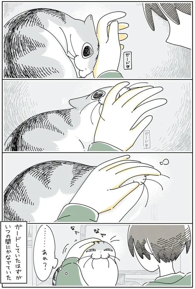 邪魔してくる猫を手でガード。なのにいつの間にか...え？／夜は猫といっしょ6（6）
