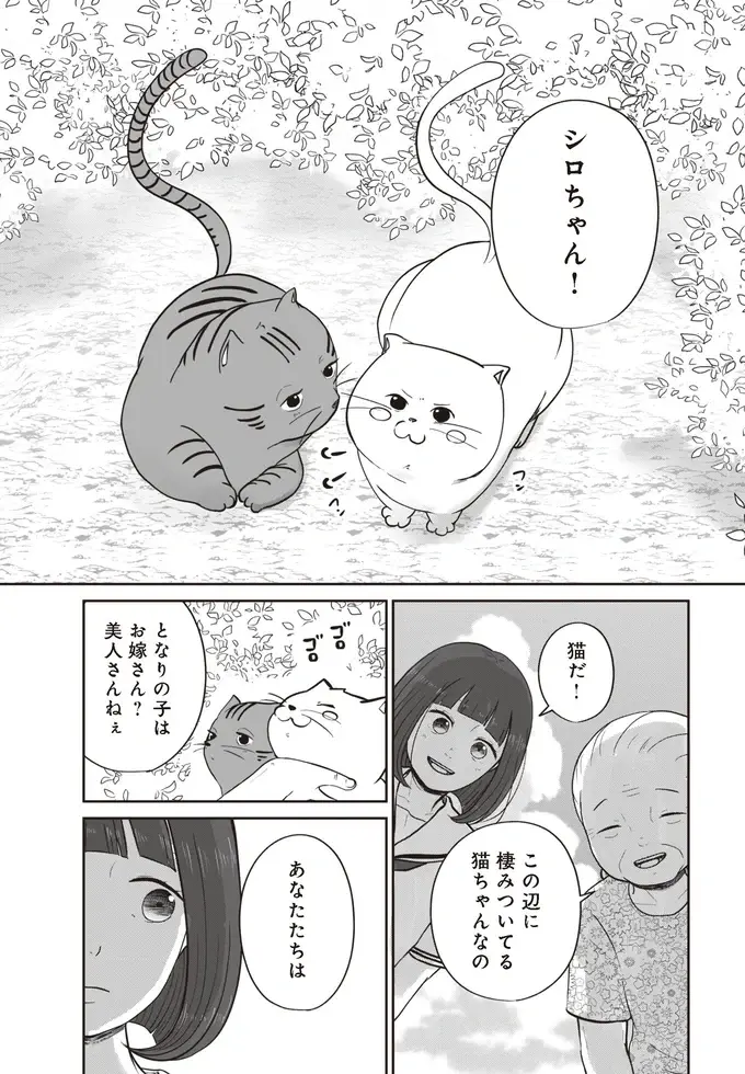 『ずっと一緒にいられたら1～2』（39）