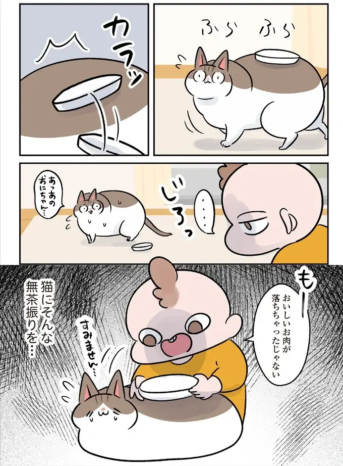大好きな4歳娘と遊びたい猫。かまってもらえない不満をぶつけたのは...え⁉／マジレス幼児とモンペ猫（6）