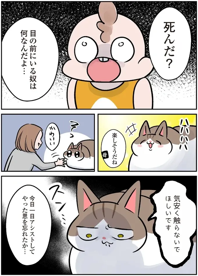 大好きな4歳娘と遊びたい猫。かまってもらえない不満をぶつけたのは...え⁉／マジレス幼児とモンペ猫（10）