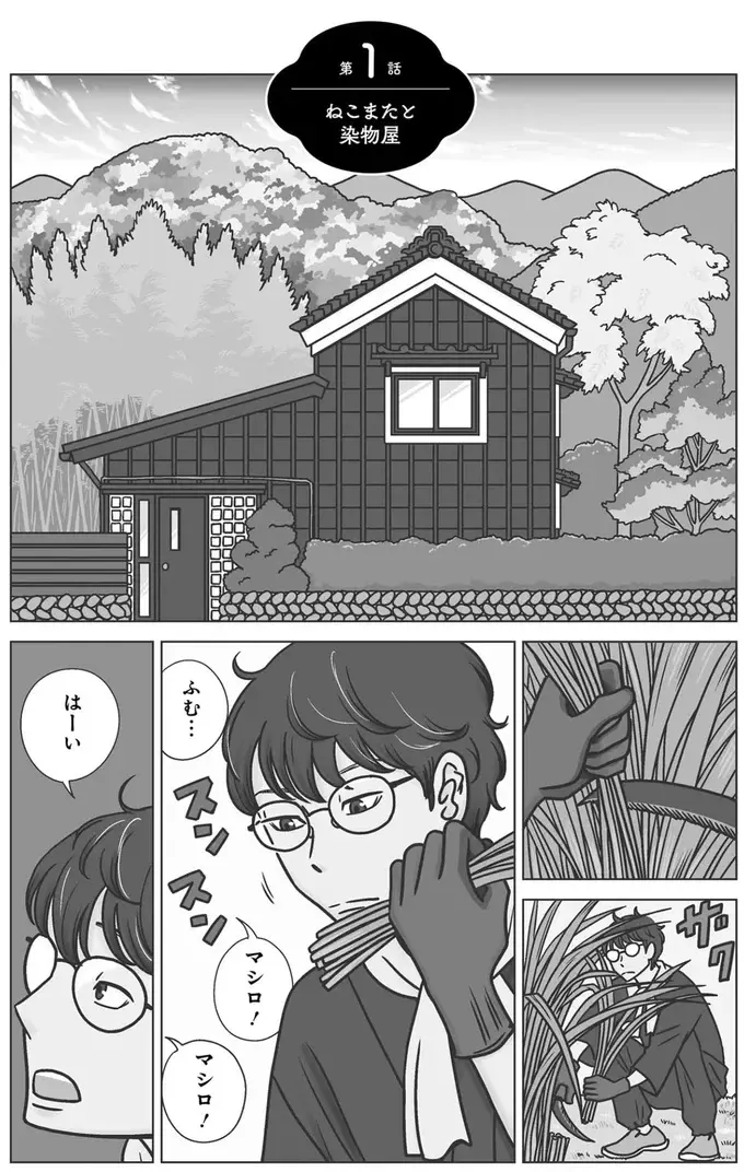 『ねこまた印の染物屋さん』（3）