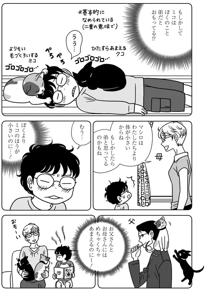 『ねこまた印の染物屋さん』（16）