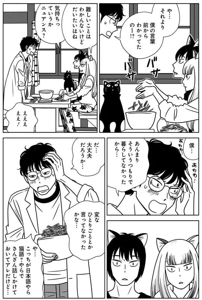 『ねこまた印の染物屋さん』（23）