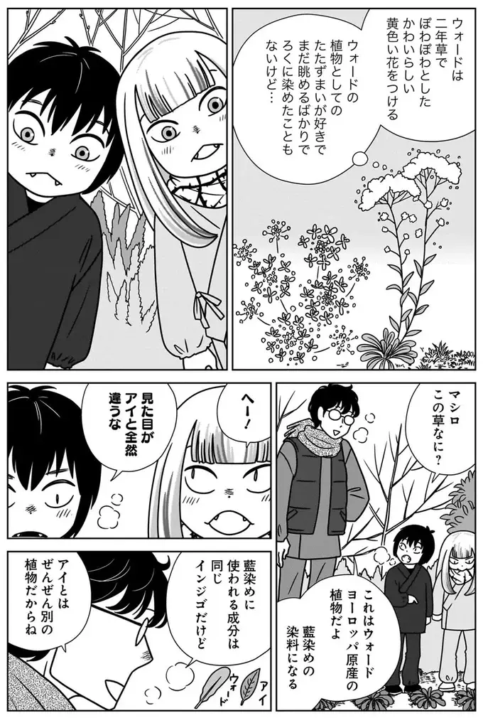 『ねこまた印の染物屋さん』（32）