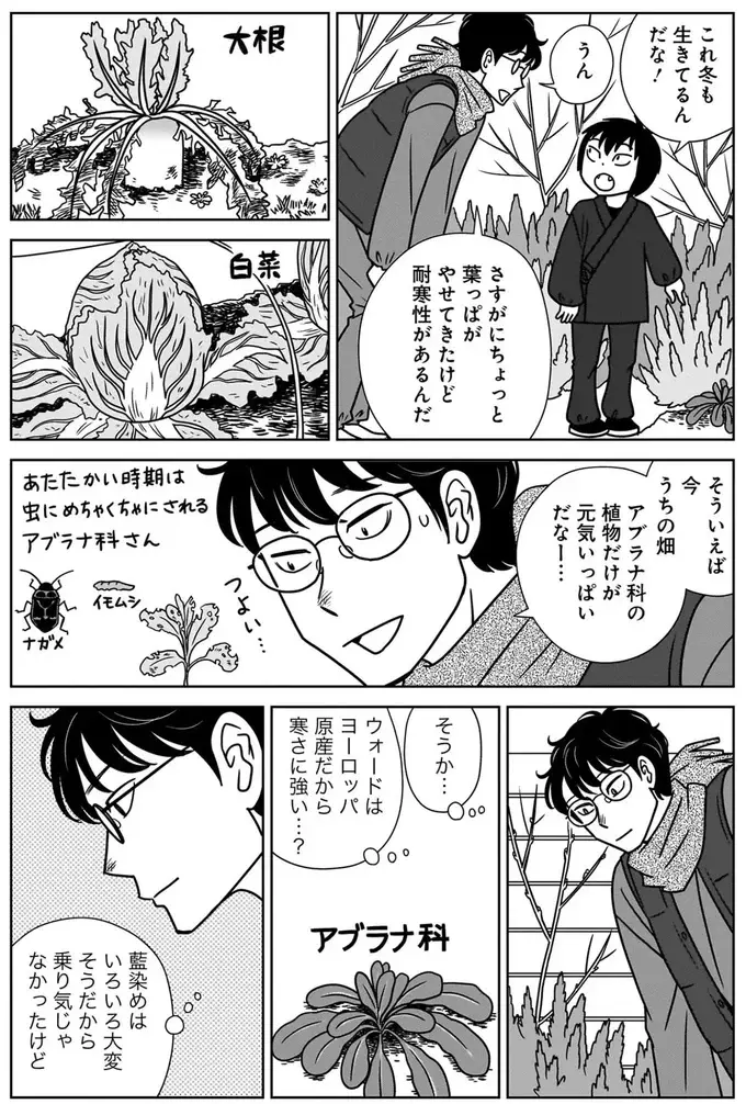 『ねこまた印の染物屋さん』（33）