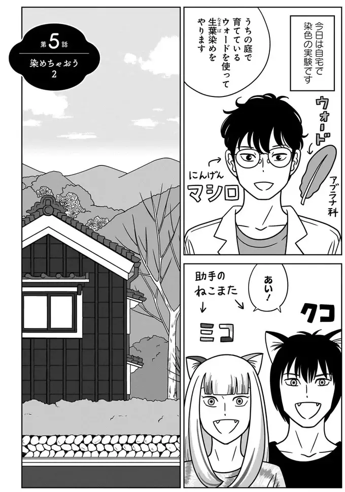 『ねこまた印の染物屋さん』（35）