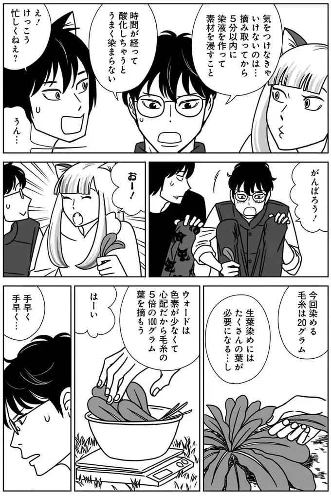 『ねこまた印の染物屋さん』（40）