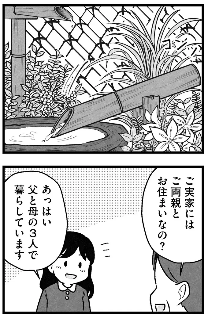 『結婚さえできないわたし 29歳からの婚活地獄』（265）