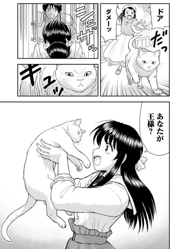 『王が猫になった』（27）