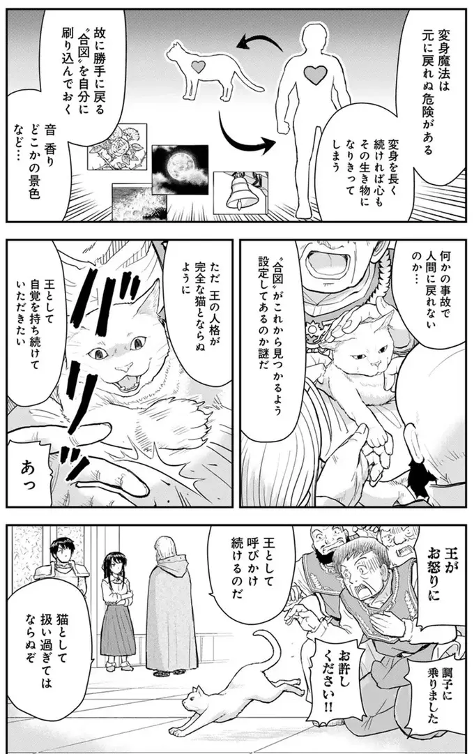 『王が猫になった』（53）
