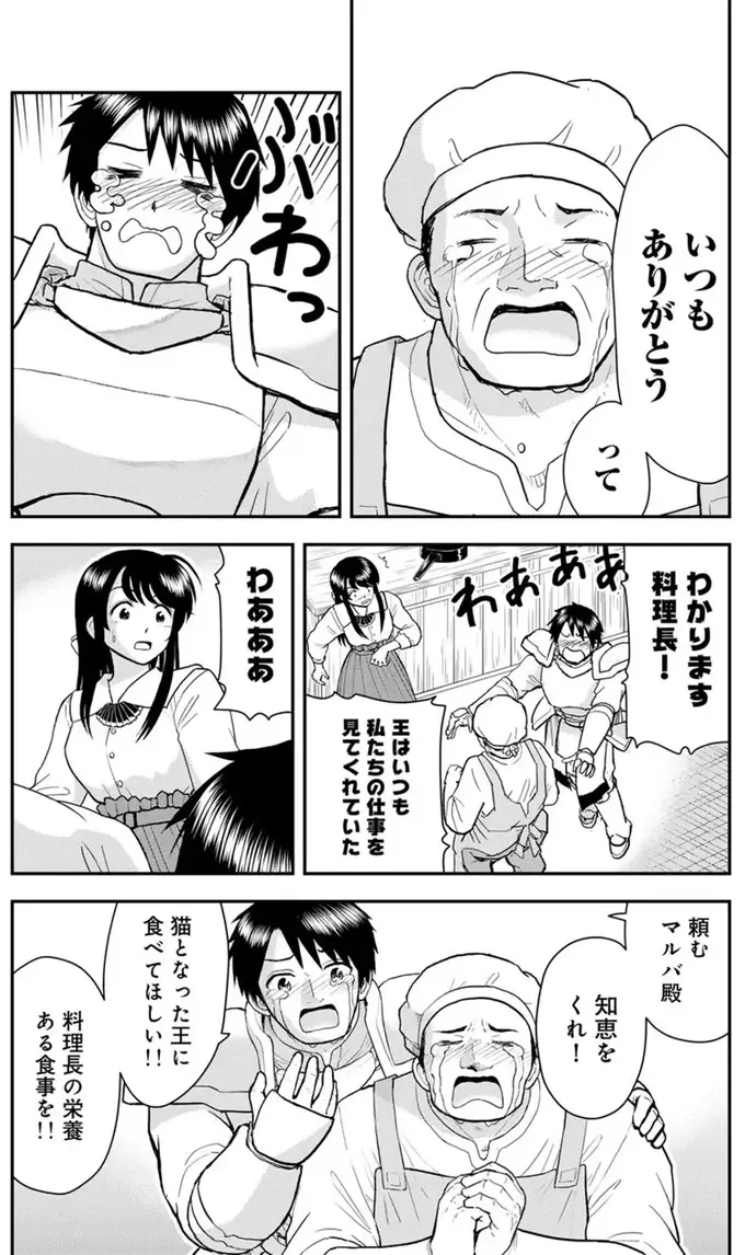 『王が猫になった』（66）