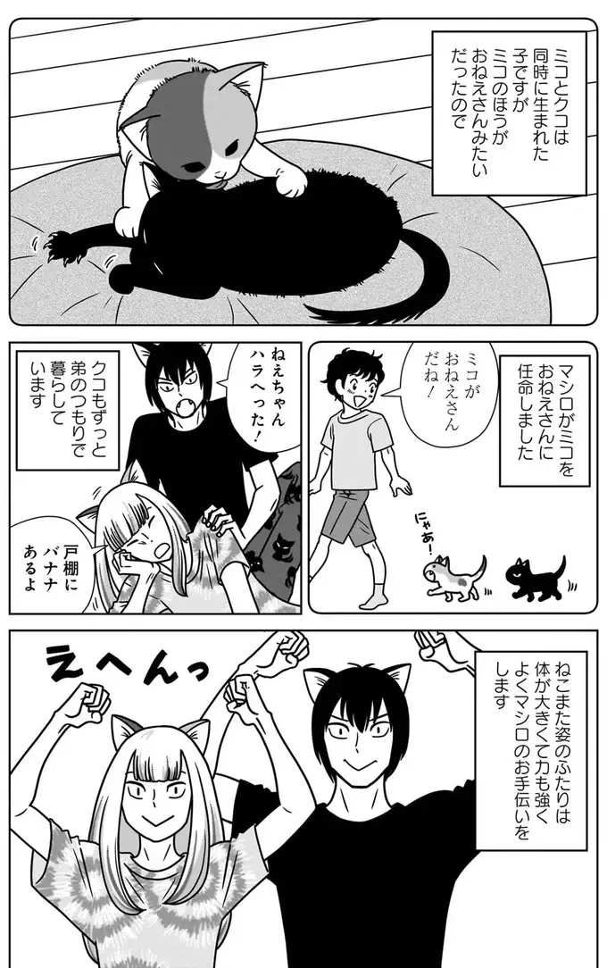 人間とねこまたの共同生活。ねこまたは体が大きくて力も強い頼れる存在！／ねこまた印の染物屋さん（5）