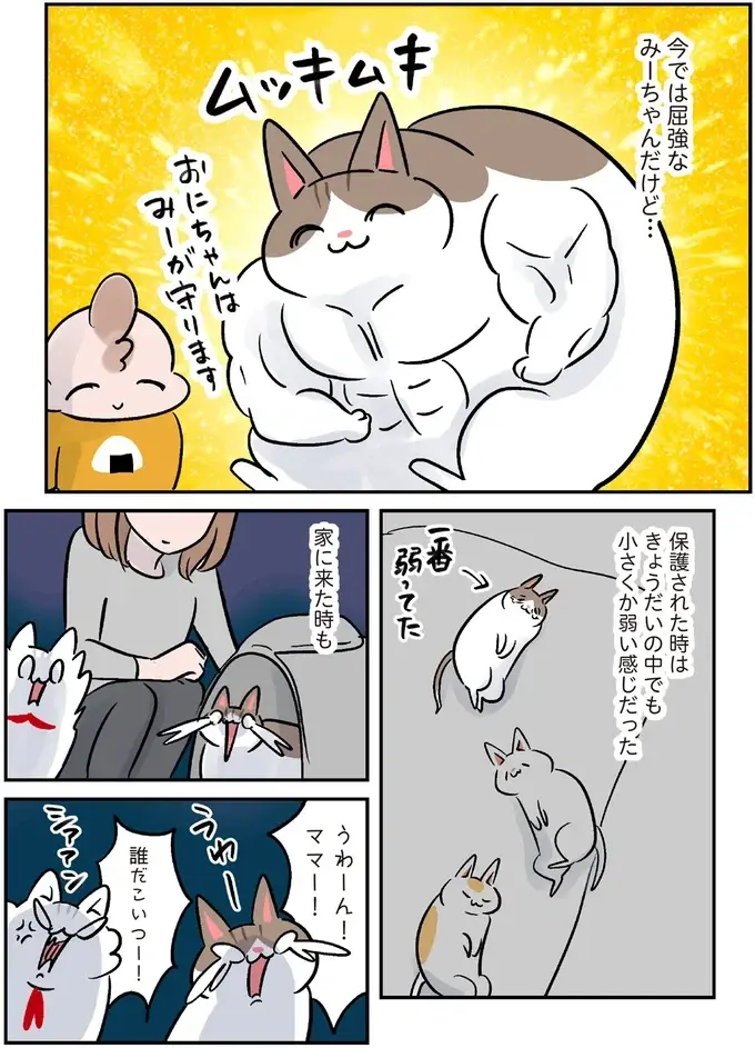 保護されたころは小さくか弱かった猫。強く育ったら引っ越しすることになって...／マジレス幼児とモンペ猫（2）