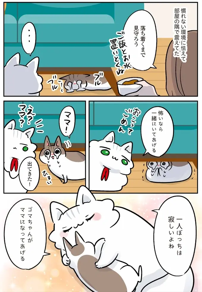保護されたころは小さくか弱かった猫。強く育ったら引っ越しすることになって...／マジレス幼児とモンペ猫（3）