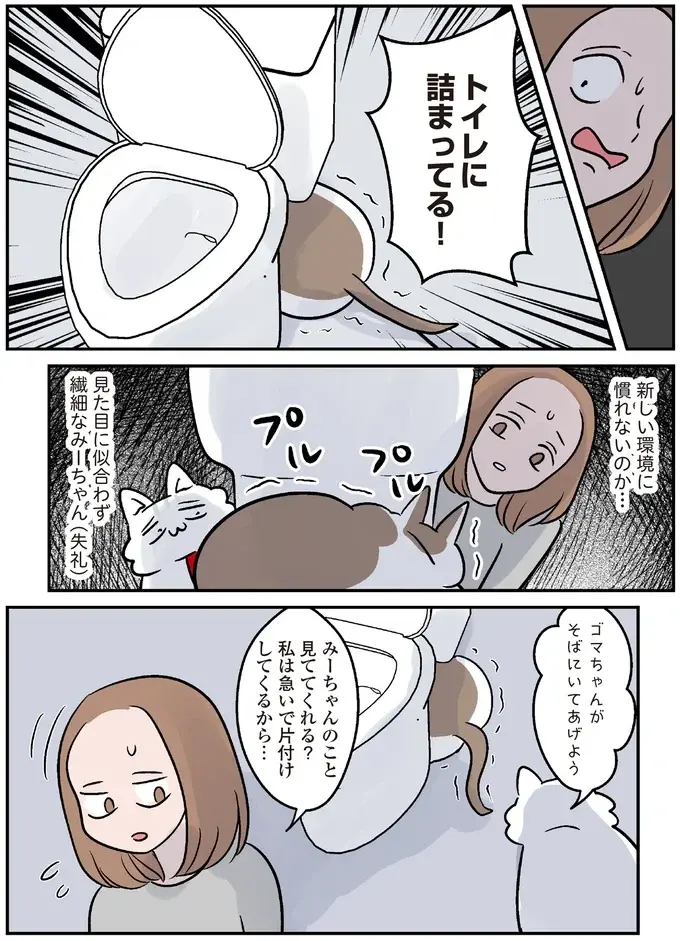 保護されたころは小さくか弱かった猫。強く育ったら引っ越しすることになって...／マジレス幼児とモンペ猫（6）
