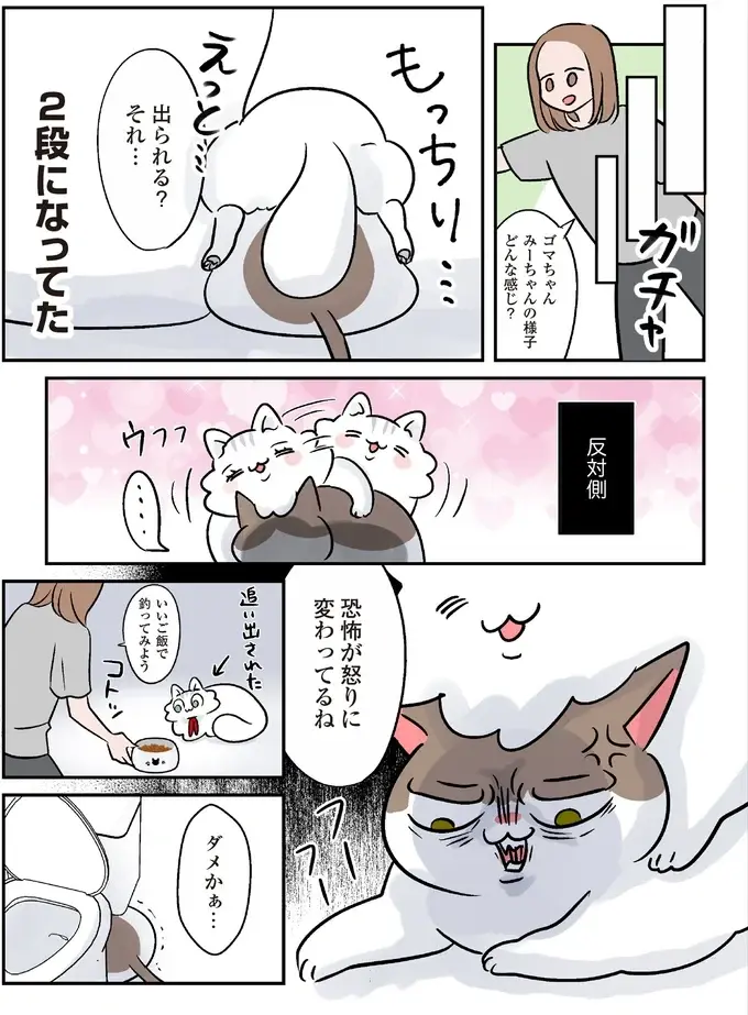 保護されたころは小さくか弱かった猫。強く育ったら引っ越しすることになって...／マジレス幼児とモンペ猫（7）