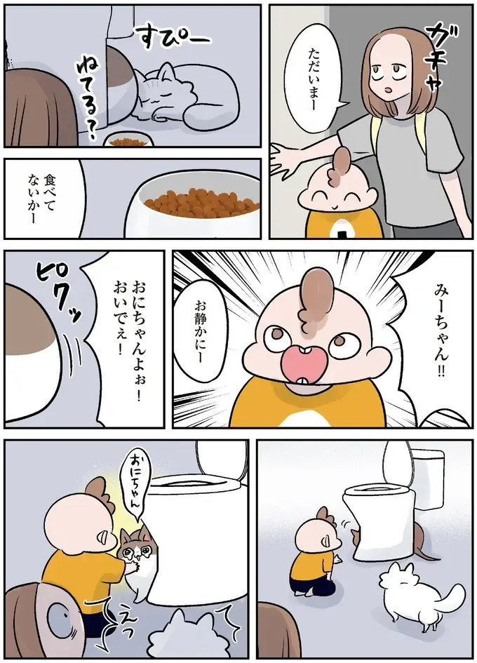 保護されたころは小さくか弱かった猫。強く育ったら引っ越しすることになって...／マジレス幼児とモンペ猫（9）
