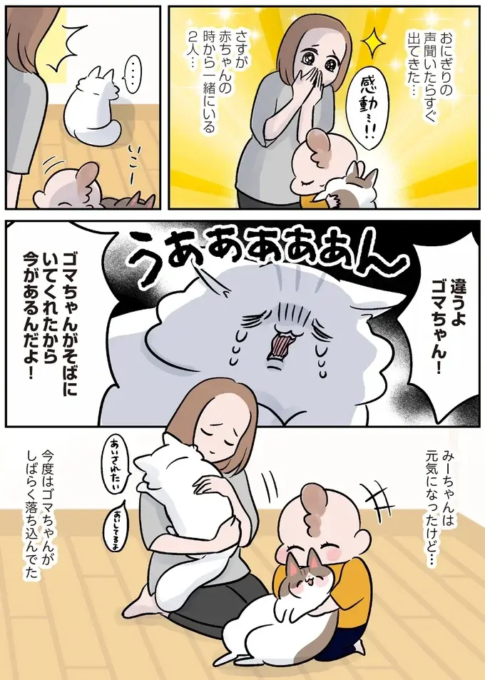 保護されたころは小さくか弱かった猫。強く育ったら引っ越しすることになって...／マジレス幼児とモンペ猫（10）