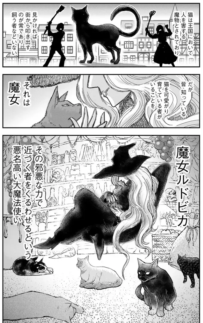 「王が猫になった!?」魔法で王様が美猫に変身してしまった様子。従臣たちの反応は...／王が猫になった（5）
