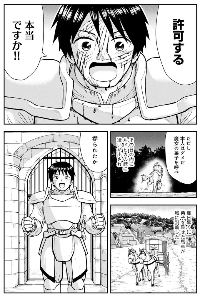 魔女の弟子は普通の女の子？ 「猫になった王」のお世話のために助っ人を呼ぶことに／王が猫になった（3）
