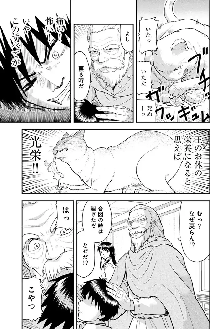 さっそく猫パンチ！ 猫になった王は魔法で動く「ネズミ」に大興奮／王が猫になった（10）