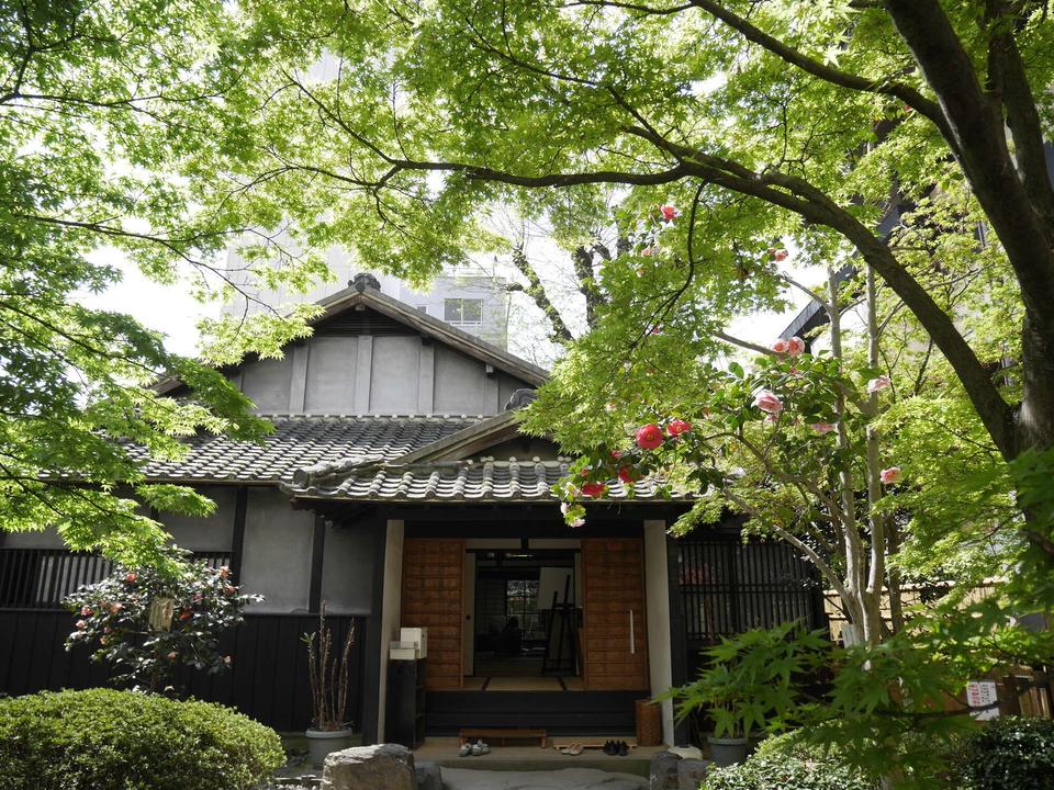 【ばけばけ】なんという脚本...美しい「愛」の描き方とそれを支える髙石あかりの表現力（1）