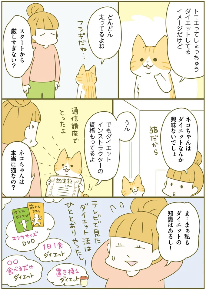 食事のカロリー気にしてる？ 痩せるために運動よりも気をつけること／ネコちゃんのゆるゆるダイエット塾（3）