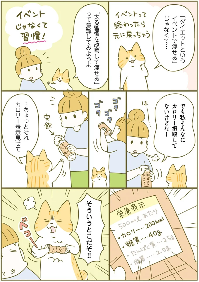 食事のカロリー気にしてる？ 痩せるために運動よりも気をつけること／ネコちゃんのゆるゆるダイエット塾（6）