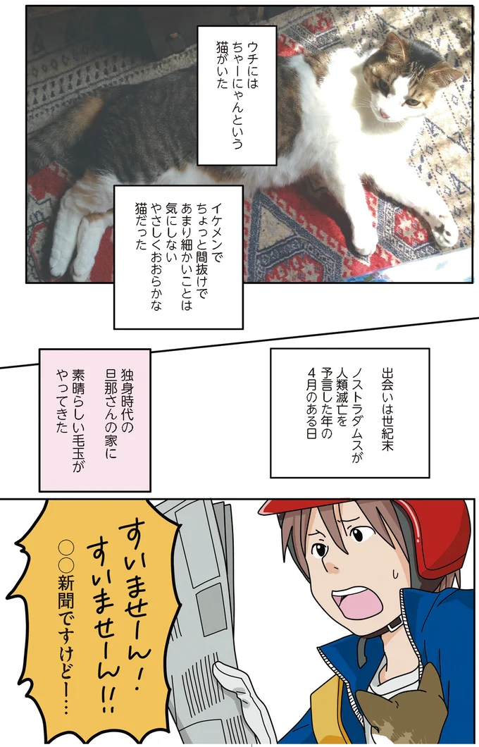 『世界一幸せな飼い主にしてくれた猫』（画像3/129枚目）