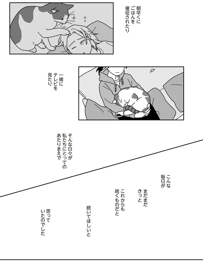 『世界一幸せな飼い主にしてくれた猫』（画像22/129枚目）