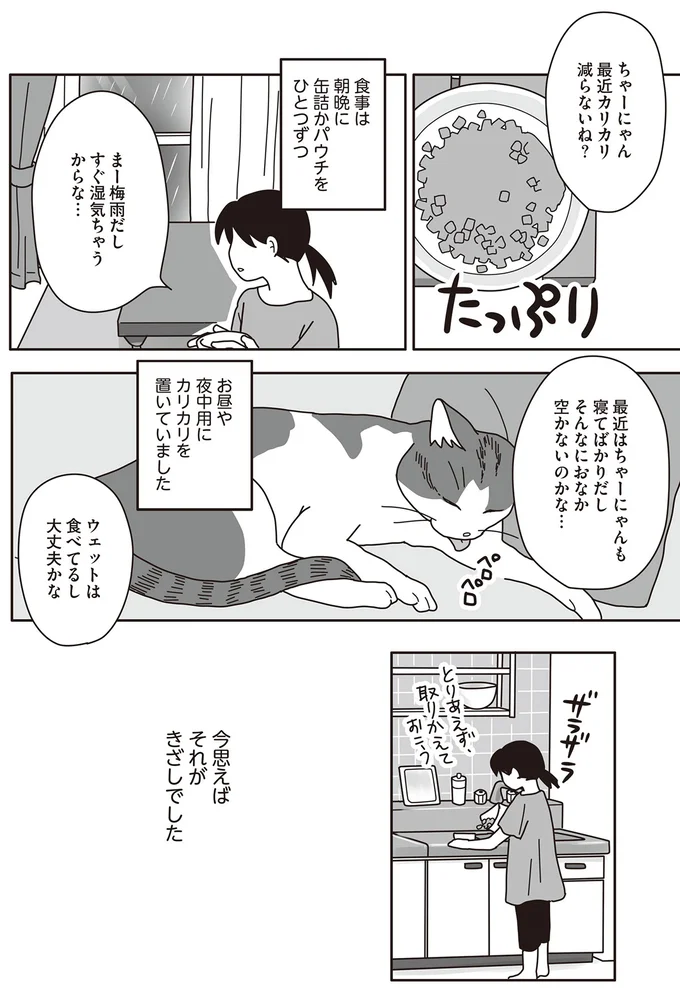 『世界一幸せな飼い主にしてくれた猫』（画像24/129枚目）