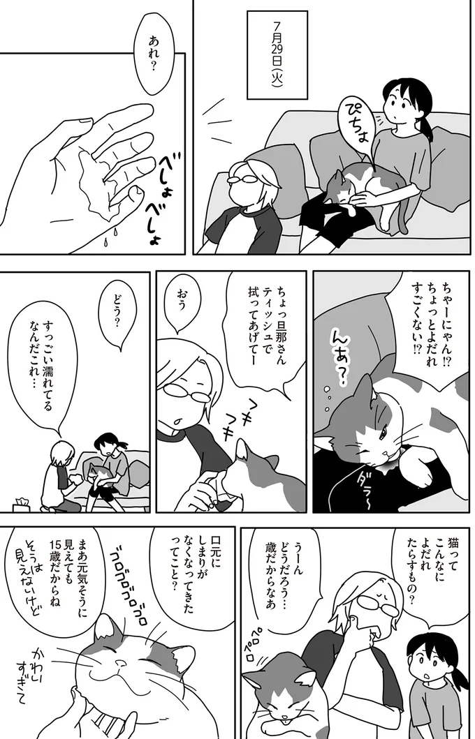 『世界一幸せな飼い主にしてくれた猫』（画像26/129枚目）