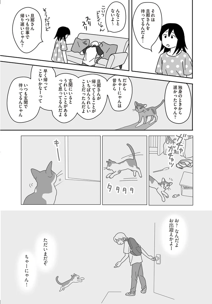『世界一幸せな飼い主にしてくれた猫』（画像31/129枚目）